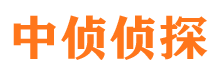 浦东市侦探公司